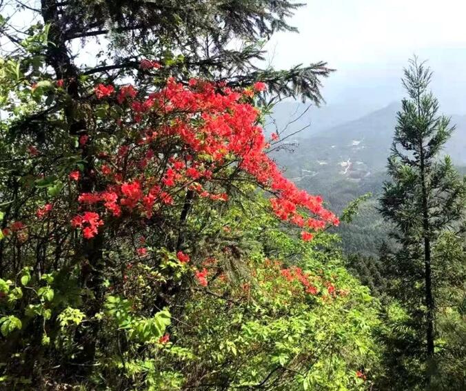 重游黄龙山