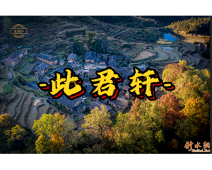 ���˾���������