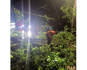 ����ҹ����·������ ��·�����б�����