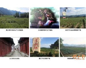 �в蹫˾��������Ե һ����������Խ��ʮ��Ĺ�������