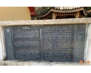 ����ɽ�ϵ�һ���أ�ƾʲô���������ʡ���ռ��ݰ˰���